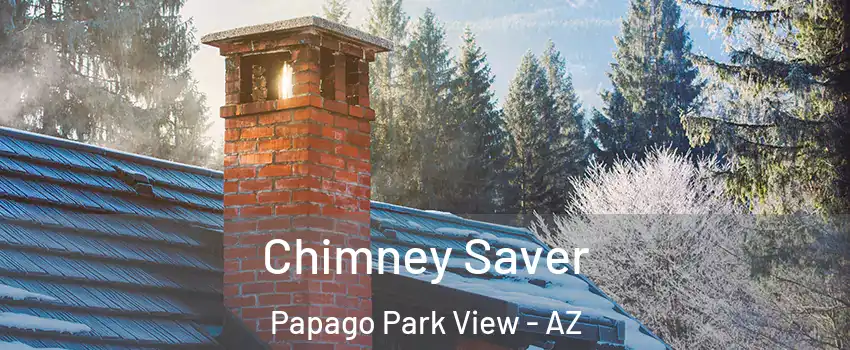 Chimney Saver Papago Park View - AZ