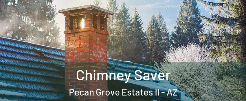 Chimney Saver Pecan Grove Estates II - AZ