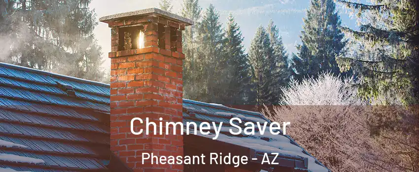 Chimney Saver Pheasant Ridge - AZ