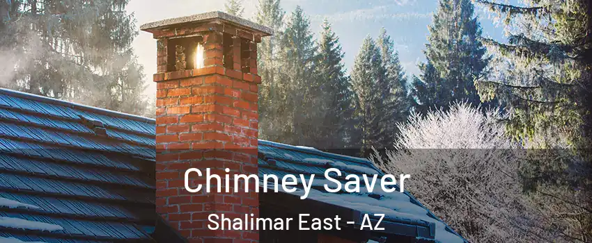 Chimney Saver Shalimar East - AZ