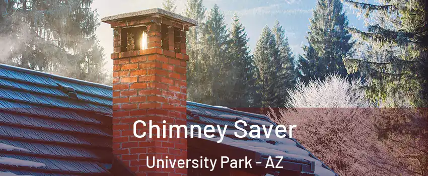 Chimney Saver University Park - AZ