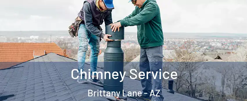 Chimney Service Brittany Lane - AZ