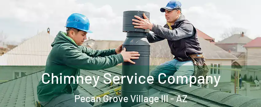Chimney Service Company Pecan Grove Village III - AZ