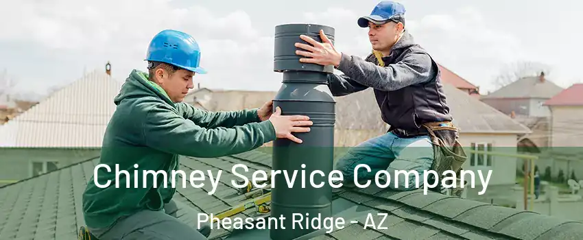 Chimney Service Company Pheasant Ridge - AZ