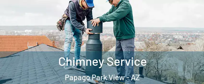 Chimney Service Papago Park View - AZ