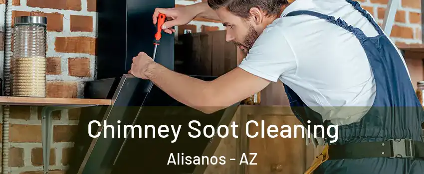Chimney Soot Cleaning Alisanos - AZ