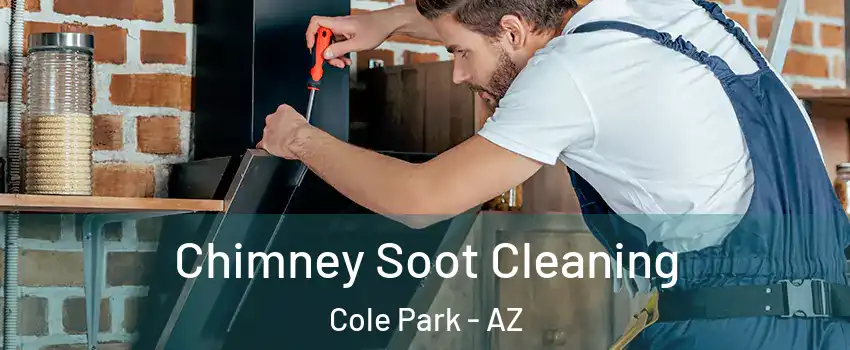 Chimney Soot Cleaning Cole Park - AZ