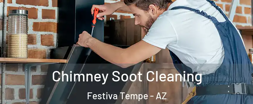 Chimney Soot Cleaning Festiva Tempe - AZ