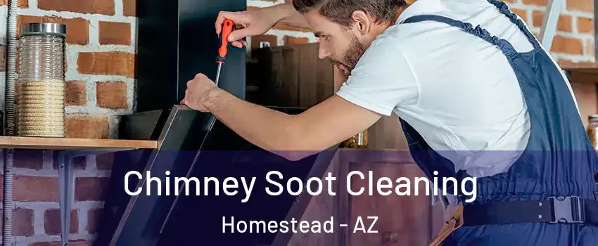 Chimney Soot Cleaning Homestead - AZ