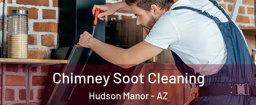 Chimney Soot Cleaning Hudson Manor - AZ