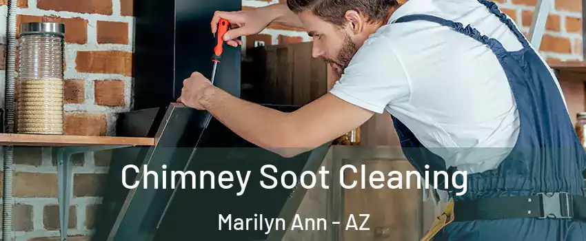 Chimney Soot Cleaning Marilyn Ann - AZ