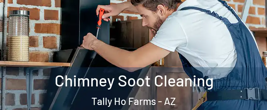 Chimney Soot Cleaning Tally Ho Farms - AZ
