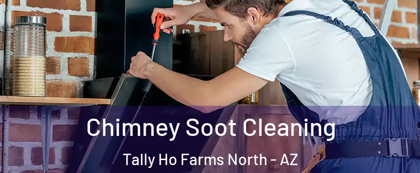 Chimney Soot Cleaning Tally Ho Farms North - AZ
