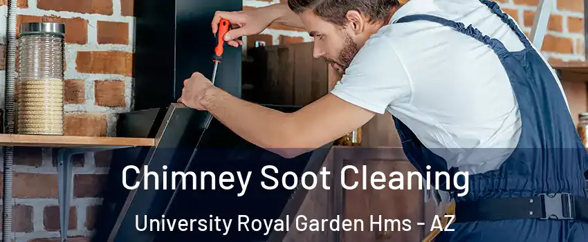 Chimney Soot Cleaning University Royal Garden Hms - AZ