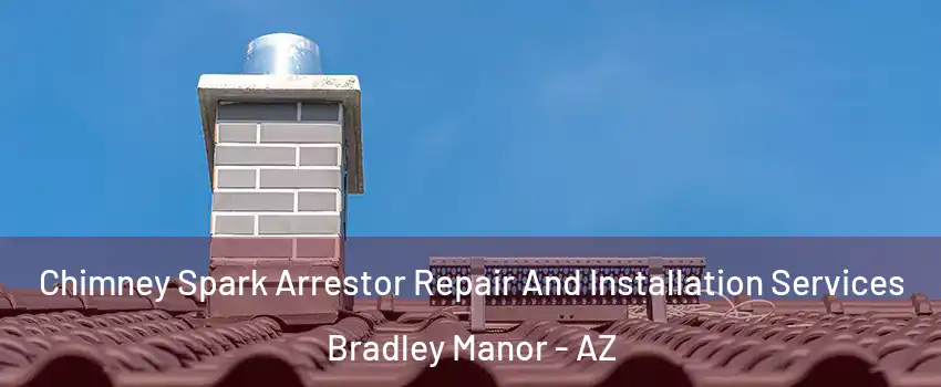 Chimney Spark Arrestor Repair And Installation Services Bradley Manor - AZ