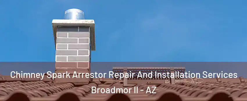 Chimney Spark Arrestor Repair And Installation Services Broadmor II - AZ