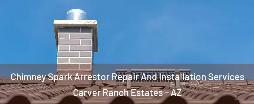 Chimney Spark Arrestor Repair And Installation Services Carver Ranch Estates - AZ