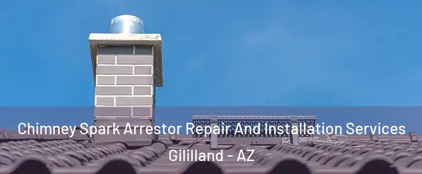Chimney Spark Arrestor Repair And Installation Services Gililland - AZ