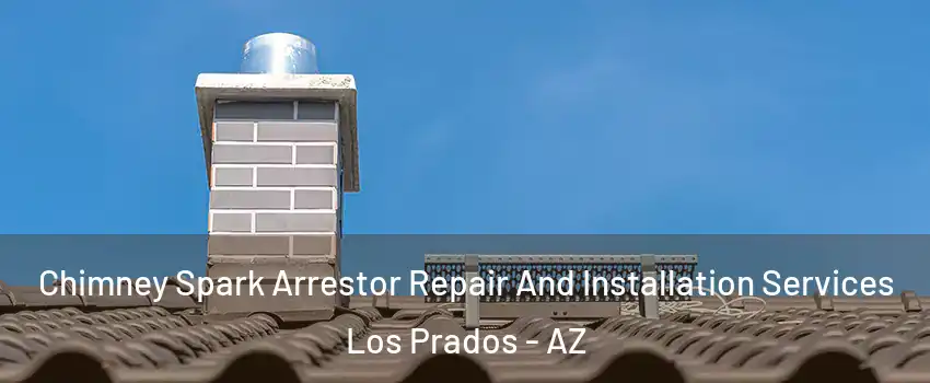 Chimney Spark Arrestor Repair And Installation Services Los Prados - AZ