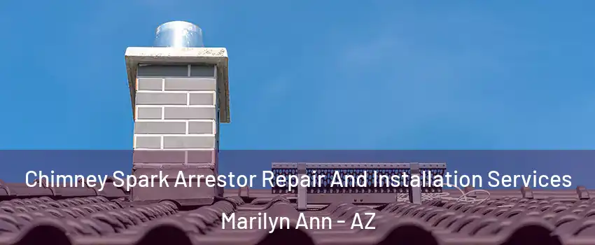 Chimney Spark Arrestor Repair And Installation Services Marilyn Ann - AZ
