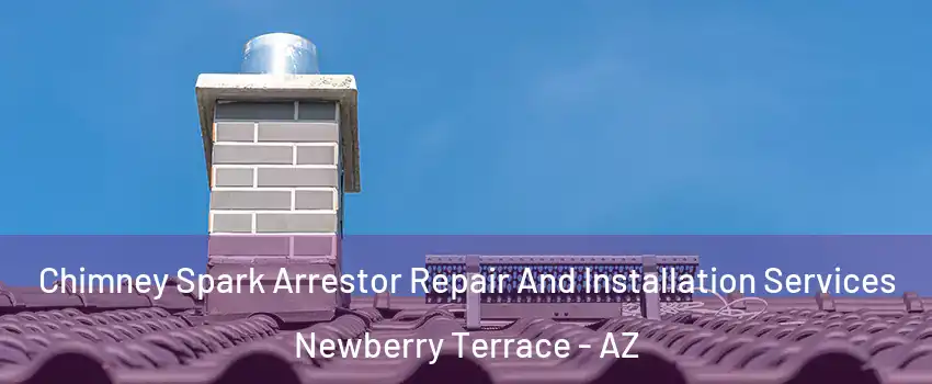 Chimney Spark Arrestor Repair And Installation Services Newberry Terrace - AZ