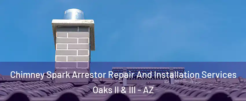 Chimney Spark Arrestor Repair And Installation Services Oaks II & III - AZ
