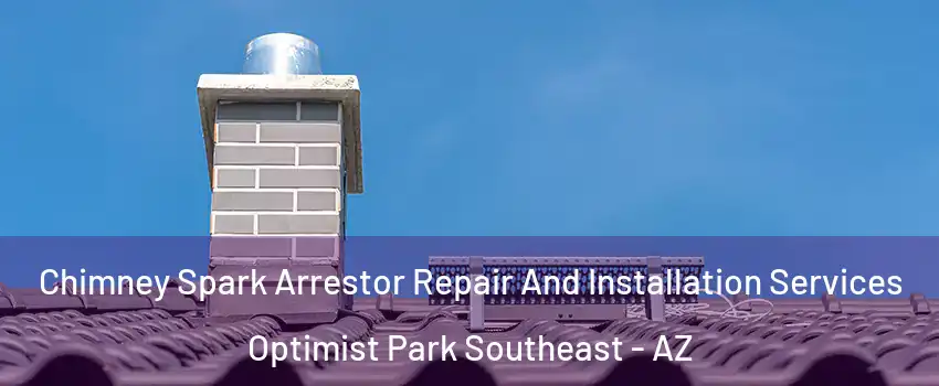 Chimney Spark Arrestor Repair And Installation Services Optimist Park Southeast - AZ