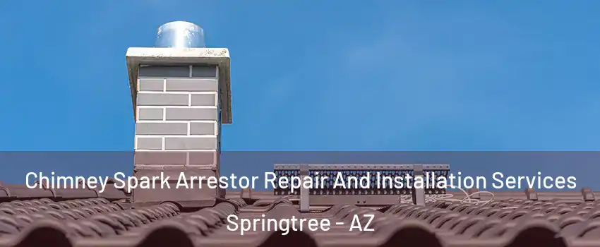 Chimney Spark Arrestor Repair And Installation Services Springtree - AZ