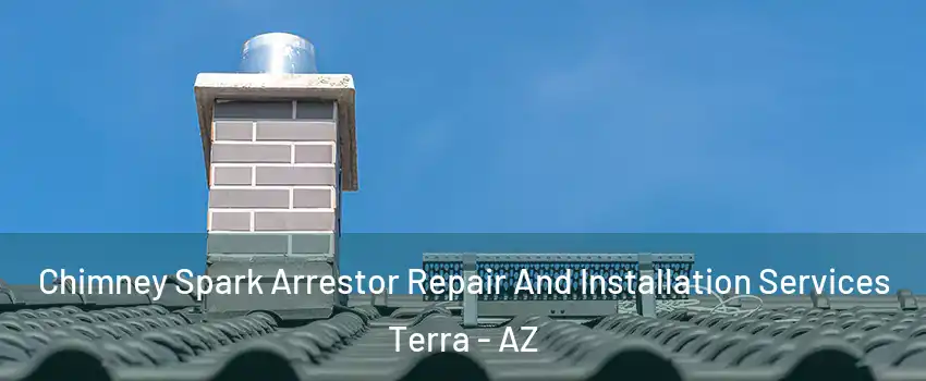 Chimney Spark Arrestor Repair And Installation Services Terra - AZ