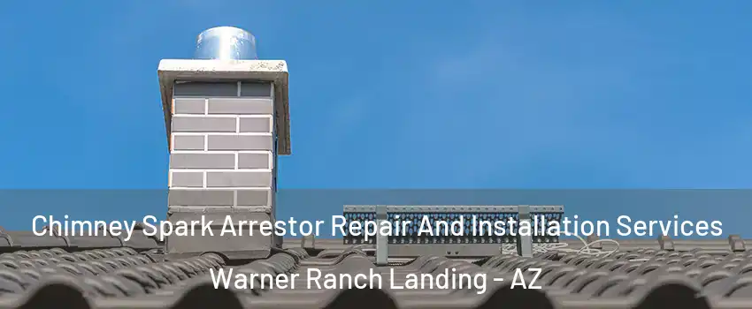 Chimney Spark Arrestor Repair And Installation Services Warner Ranch Landing - AZ