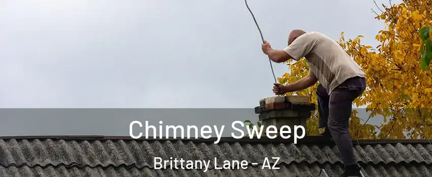 Chimney Sweep Brittany Lane - AZ