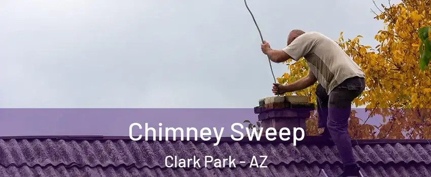 Chimney Sweep Clark Park - AZ