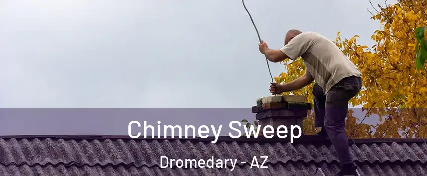Chimney Sweep Dromedary - AZ