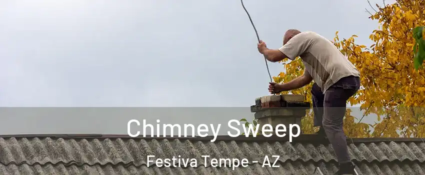 Chimney Sweep Festiva Tempe - AZ