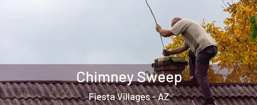 Chimney Sweep Fiesta Villages - AZ