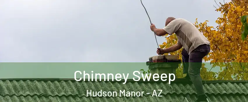 Chimney Sweep Hudson Manor - AZ
