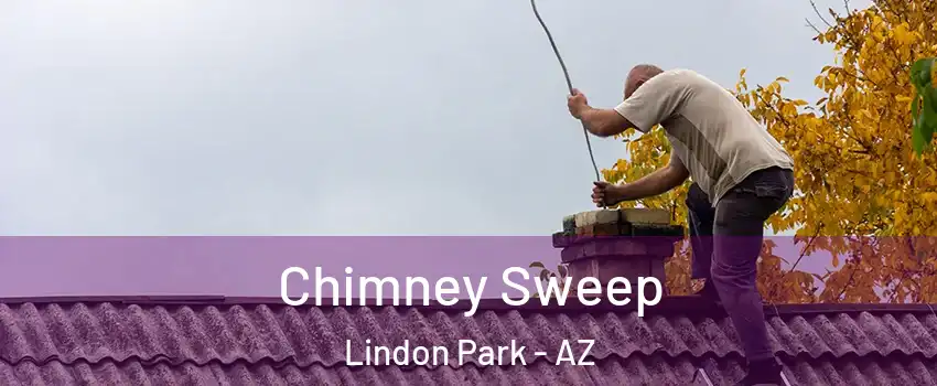 Chimney Sweep Lindon Park - AZ