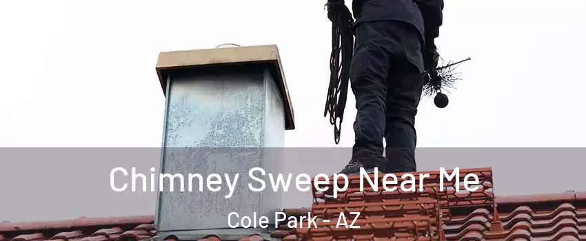 Chimney Sweep Near Me Cole Park - AZ