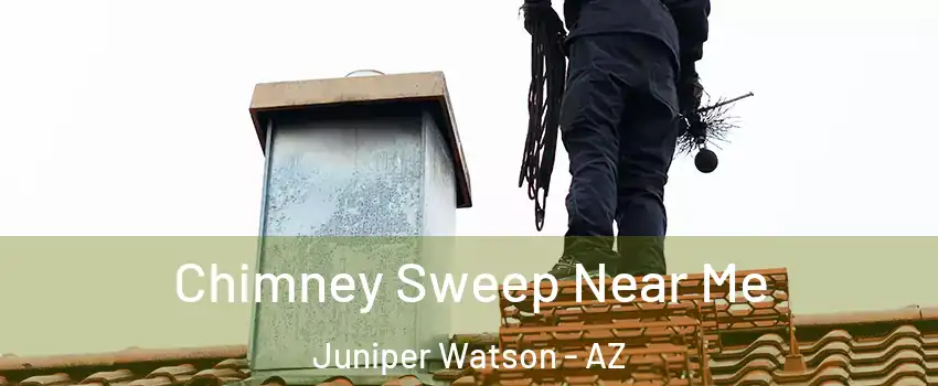 Chimney Sweep Near Me Juniper Watson - AZ