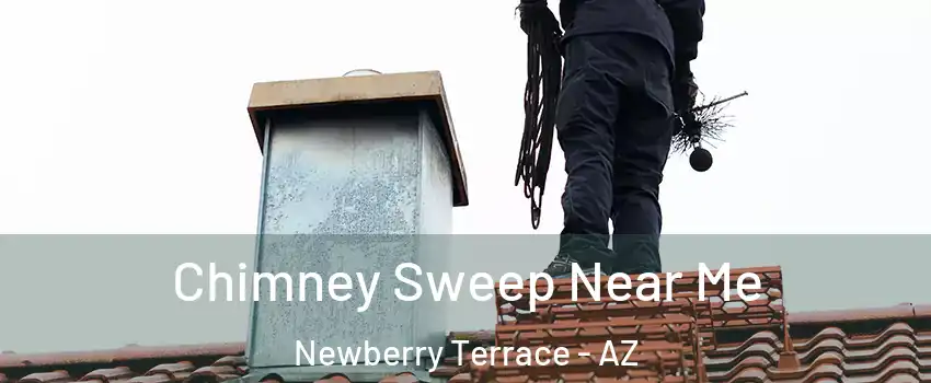 Chimney Sweep Near Me Newberry Terrace - AZ