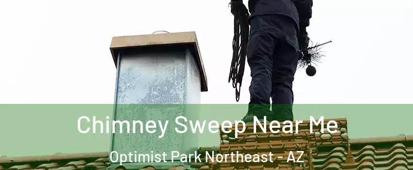 Chimney Sweep Near Me Optimist Park Northeast - AZ