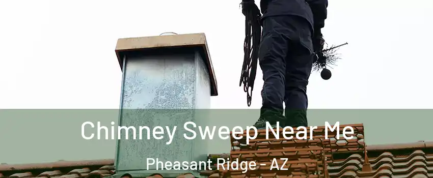 Chimney Sweep Near Me Pheasant Ridge - AZ