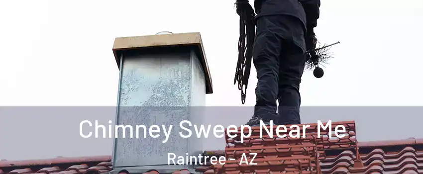 Chimney Sweep Near Me Raintree - AZ