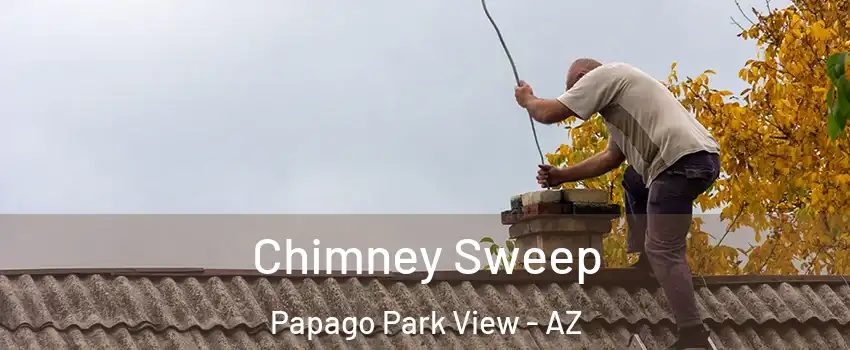 Chimney Sweep Papago Park View - AZ
