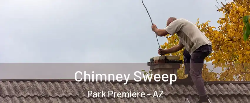 Chimney Sweep Park Premiere - AZ