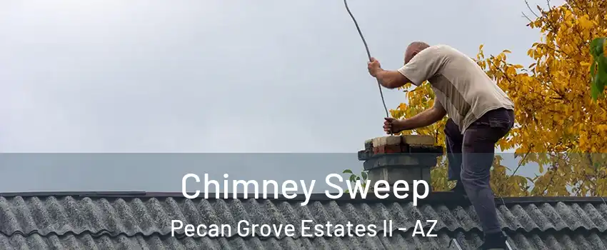Chimney Sweep Pecan Grove Estates II - AZ