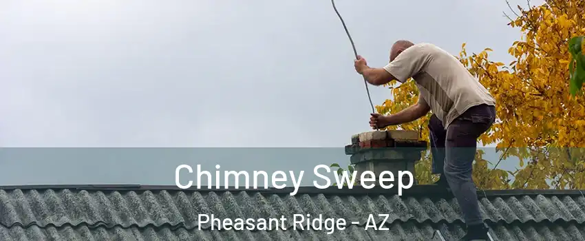 Chimney Sweep Pheasant Ridge - AZ