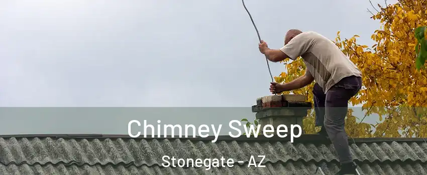 Chimney Sweep Stonegate - AZ
