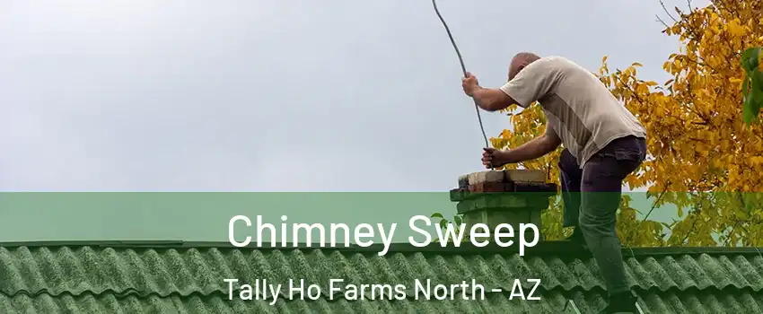 Chimney Sweep Tally Ho Farms North - AZ