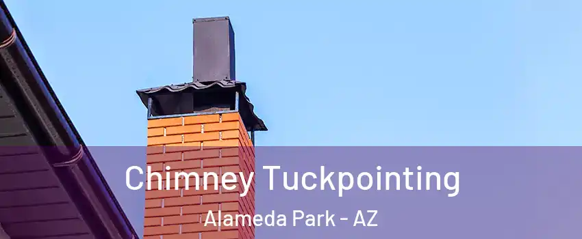 Chimney Tuckpointing Alameda Park - AZ